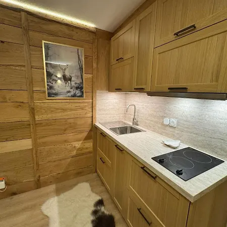 Apartment La Cle Doree - Depart Telecabines
